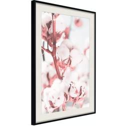 Arkiio Affisch Blooming Cotton [Poster] 40x60 Poster